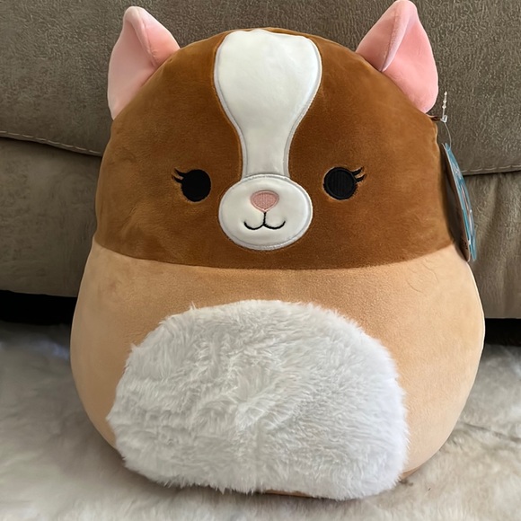 Squishmallows Garret the Guinea Pig 12” NWT - Picture 1 of 4